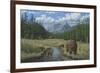 Checking Things Out - Grizzlies-Robert Wavra-Framed Premium Giclee Print