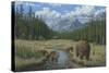 Checking Things Out - Grizzlies-Robert Wavra-Stretched Canvas