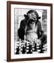 Checkmate-null-Framed Giclee Print