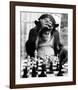 Checkmate-null-Framed Giclee Print