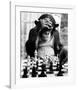 Checkmate-null-Framed Giclee Print