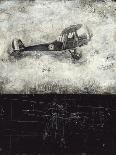Air-Checo Diego-Giclee Print
