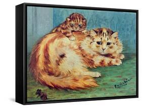 Cheeky Mouse!-Louis Wain-Framed Stretched Canvas