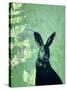 Cheeky Rabbit-Trudy Rice-Stretched Canvas