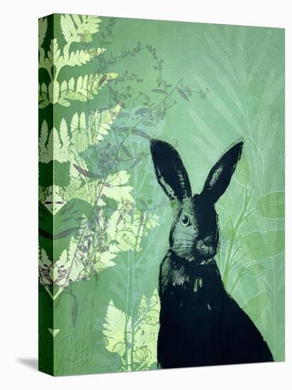 Cheeky Rabbit-Trudy Rice-Stretched Canvas