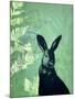 Cheeky Rabbit-Trudy Rice-Mounted Art Print