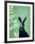 Cheeky Rabbit-Trudy Rice-Framed Art Print