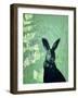 Cheeky Rabbit-Trudy Rice-Framed Art Print