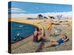 Cheeky Sea Gulls, 2005-Liz Wright-Stretched Canvas