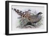 Cheer-John Gould-Framed Giclee Print