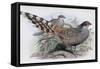 Cheer-John Gould-Framed Stretched Canvas