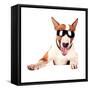 Cheerful Bull Terrier in Sunglasses-AZALIA-Framed Stretched Canvas