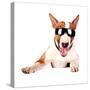 Cheerful Bull Terrier in Sunglasses-AZALIA-Stretched Canvas