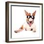 Cheerful Bull Terrier in Sunglasses-AZALIA-Framed Photographic Print