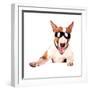 Cheerful Bull Terrier in Sunglasses-AZALIA-Framed Photographic Print