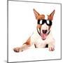 Cheerful Bull Terrier in Sunglasses-AZALIA-Mounted Photographic Print