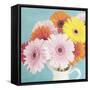 Cheerful Daisies-Susannah Tucker-Framed Stretched Canvas