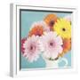 Cheerful Daisies-Susannah Tucker-Framed Art Print