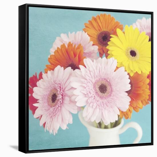 Cheerful Daisies-Susannah Tucker-Framed Stretched Canvas