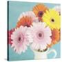 Cheerful Daisies-Susannah Tucker-Stretched Canvas