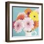 Cheerful Daisies-Susannah Tucker-Framed Art Print