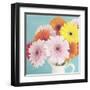 Cheerful Daisies-Susannah Tucker-Framed Art Print