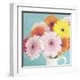 Cheerful Daisies-Susannah Tucker-Framed Art Print