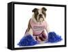 Cheerful Dog - English Bulldog Dressed Up Like A Cheerleader With Pompoms-Willee Cole-Framed Stretched Canvas