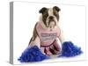 Cheerful Dog - English Bulldog Dressed Up Like A Cheerleader With Pompoms-Willee Cole-Stretched Canvas