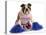 Cheerful Dog - English Bulldog Dressed Up Like A Cheerleader With Pompoms-Willee Cole-Stretched Canvas