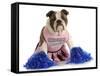 Cheerful Dog - English Bulldog Dressed Up Like A Cheerleader With Pompoms-Willee Cole-Framed Stretched Canvas