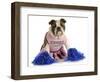 Cheerful Dog - English Bulldog Dressed Up Like A Cheerleader With Pompoms-Willee Cole-Framed Photographic Print