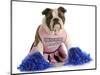 Cheerful Dog - English Bulldog Dressed Up Like A Cheerleader With Pompoms-Willee Cole-Mounted Photographic Print