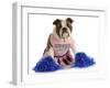 Cheerful Dog - English Bulldog Dressed Up Like A Cheerleader With Pompoms-Willee Cole-Framed Photographic Print