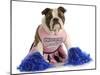 Cheerful Dog - English Bulldog Dressed Up Like A Cheerleader With Pompoms-Willee Cole-Mounted Photographic Print