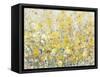 Cheerful Garden I-Tim O'toole-Framed Stretched Canvas