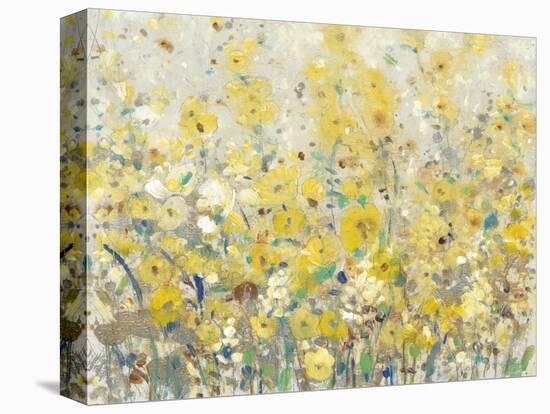 Cheerful Garden I-Tim O'toole-Stretched Canvas