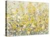 Cheerful Garden I-Tim O'toole-Stretched Canvas