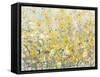 Cheerful Garden I-Tim O'toole-Framed Stretched Canvas