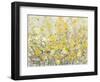 Cheerful Garden I-Tim O'toole-Framed Art Print