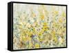 Cheerful Garden II-Tim O'toole-Framed Stretched Canvas
