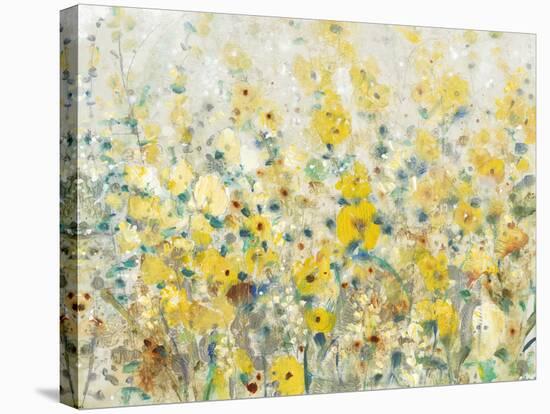 Cheerful Garden II-Tim O'toole-Stretched Canvas