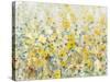Cheerful Garden II-Tim O'toole-Stretched Canvas