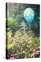 Cheerful Polka Dot Balloon Is an Unexpected Accent in a Flower Garden-pdb1-Stretched Canvas