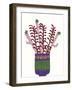 Cheerful Succulent II-Regina Moore-Framed Art Print