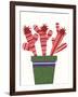 Cheerful Succulent V-Regina Moore-Framed Art Print