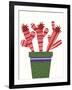 Cheerful Succulent V-Regina Moore-Framed Art Print