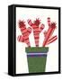 Cheerful Succulent V-Regina Moore-Framed Stretched Canvas