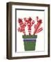 Cheerful Succulent V-Regina Moore-Framed Art Print