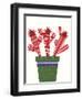 Cheerful Succulent V-Regina Moore-Framed Art Print